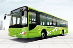 纯电动-KLQ6129GEV