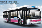 常隆客车YS6120GBEV