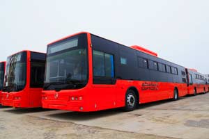 2015前十月 金旅海外业绩破1亿美元 靠什么?