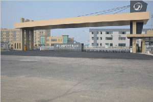 企业风采：金港汽车