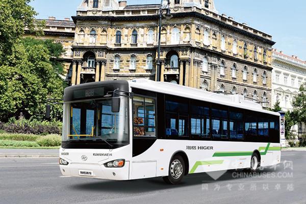 双源无轨电车很想红，成全它吧!