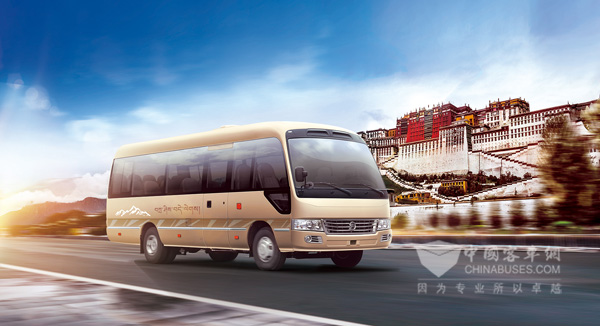 大考斯特西藏特供