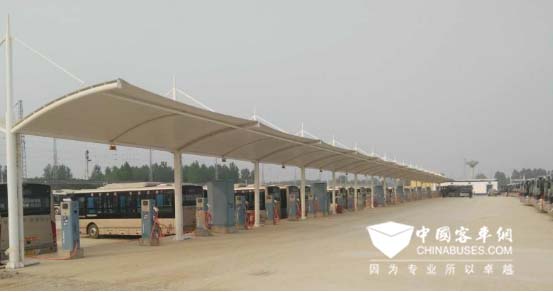 山东聊城：新能源公交覆盖率达100%