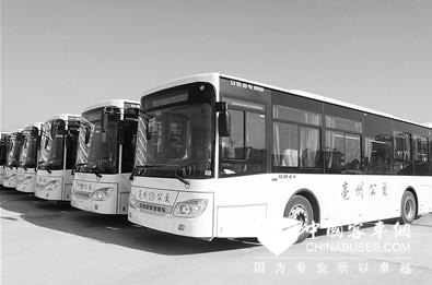 安徽亳州：加快发展绿色能源公交