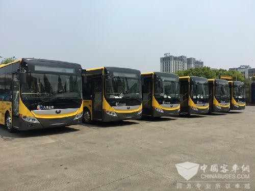 纯电动公交首现浙江海宁