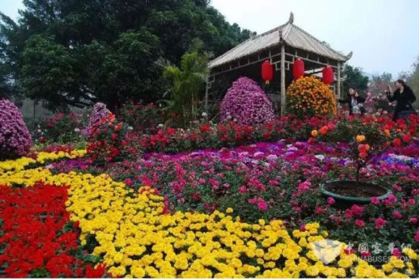 福田欧辉化身护花使者绽放京城  助力月季洲际大会