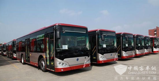 山东：淄博增198台新能源公交车