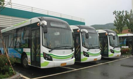 山东：青岛规定大客凌晨两点后不能再跑，强制休息！