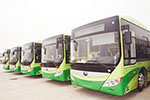 河南：新乡市今年预计购置260辆新能源公交车