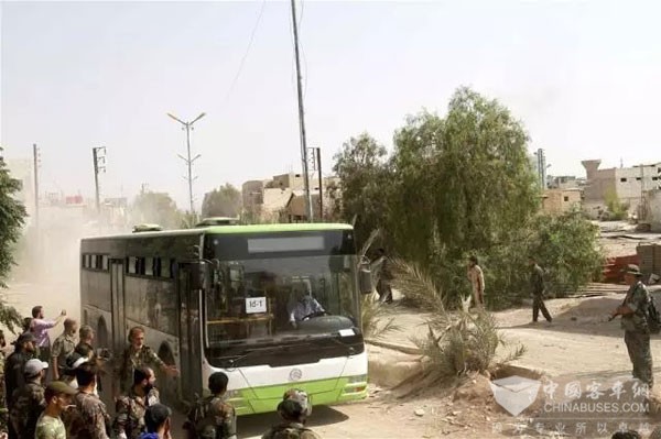 金旅穿行在叙利亚