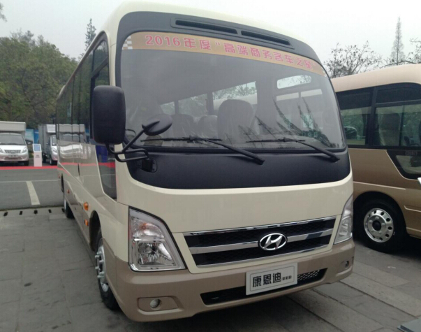 康恩迪纯电动款车