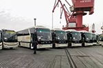 “撸起袖子”迎开年 322辆金龙客车出口沙特