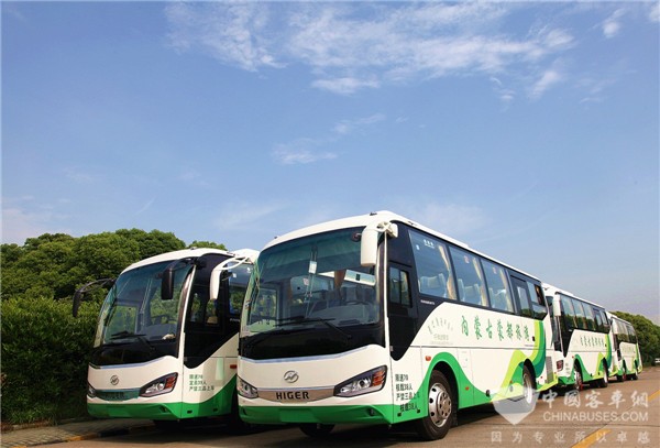 湖北襄阳首批无障碍公交车投入使用