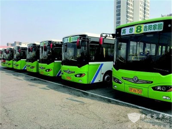 葫芦岛：新能源公交车扮靓绥中城