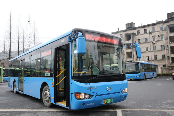 杭州余杭：115辆新能源公交投入使用