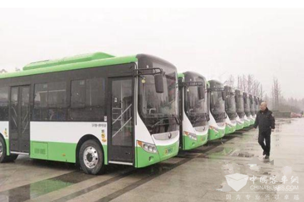 江苏宿迁：新能源公交车助力绿色出行