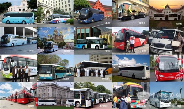 阿联酋“神奇”之旅 TA带你领略“一带一路”别样风情