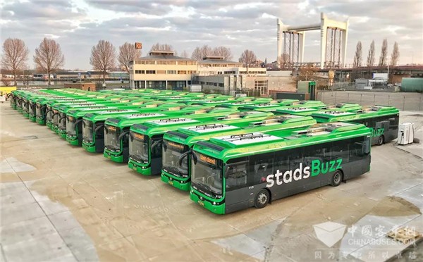 挺进国际高端市场 潍柴丰泰客车斩获荷兰客户百台订单