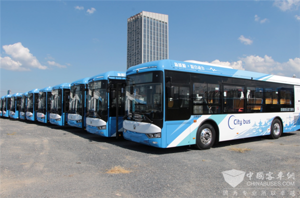 绿色出行新方式 亚星新能源客车助力两大盛事