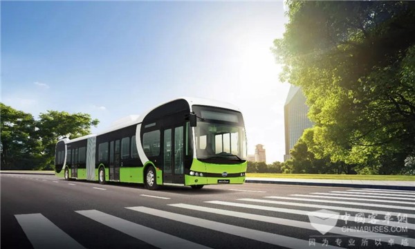 引领绿色交通变革！比亚迪客车接连斩获北欧最大公交运营商订单