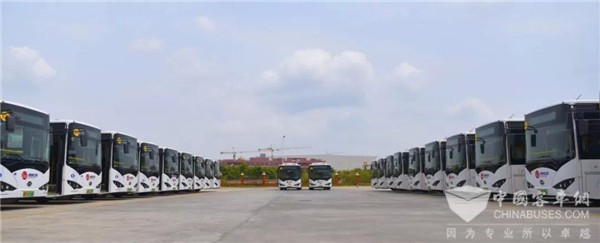 深圳：西部公汽全面提升行业服务水平，引领城市智慧公交出行