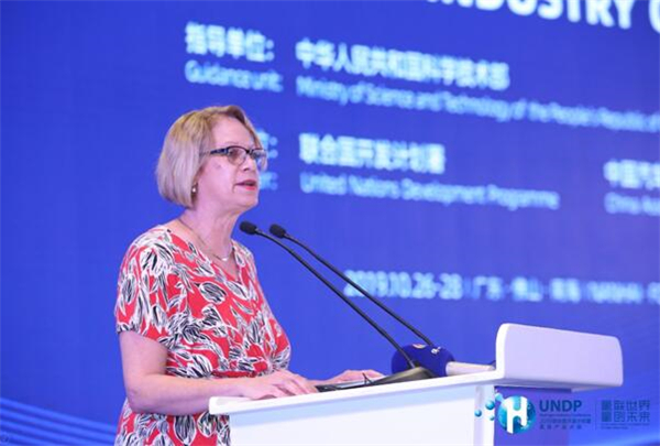 氢联世界 氢创未来！2019联合国开发计划署氢能产业大会佛山召开