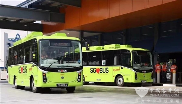 有爱!比亚迪助力新加坡实现全岛巴士无障碍通勤