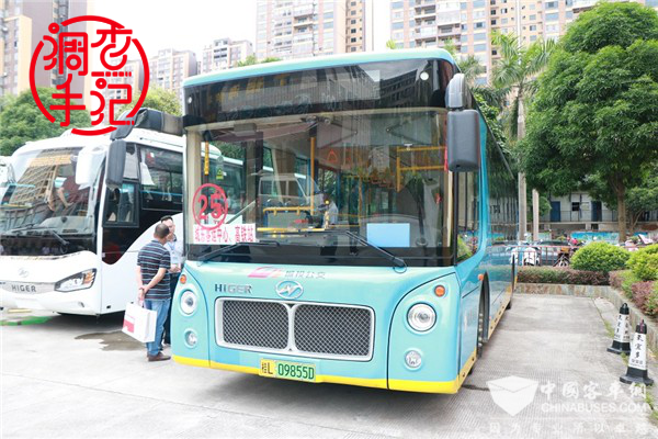 2019-2020年度完美作业网有免费视频用户满意度调查手记——海格客车