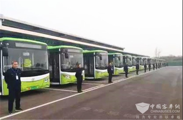 “小清新”公交进校园 银隆纯电动公交成都金堂大学城开跑
