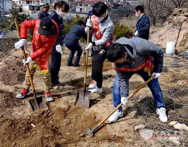 种下希望待春天 青岛公交职工迎“植树节”为战疫加油