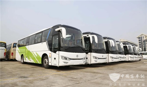 缘何青睐金旅凯歌？天津金渤达客运有话说