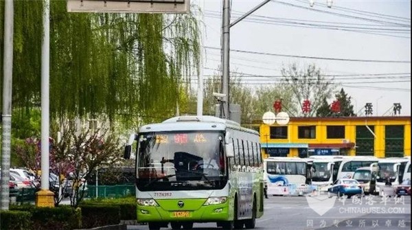 要说“语言大师”，那还属咱欧辉车迷！