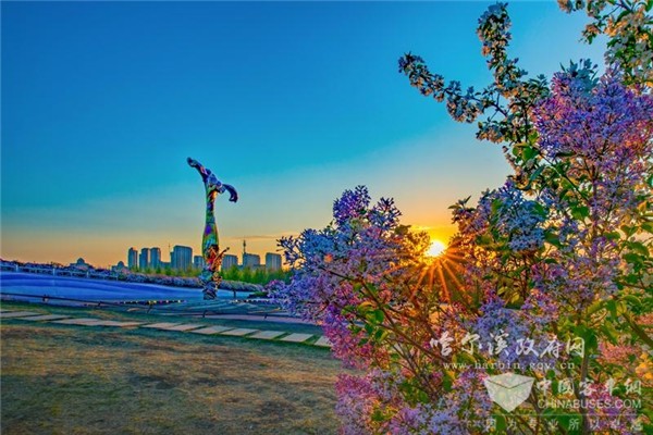 城市“复活” 交通先行 30辆金龙客车奔赴冰城哈尔滨