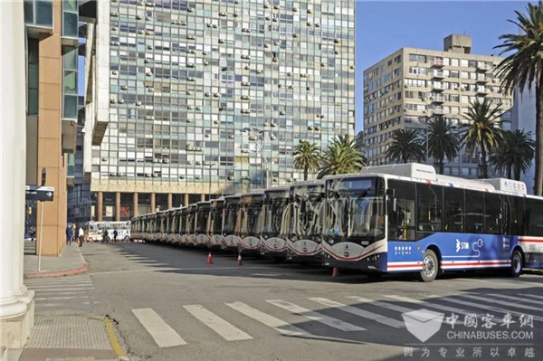 乌拉圭总统助阵 比亚迪向当地最大的公交运营商交付20台纯电动大巴