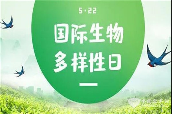 来吧，和中通客车一起“亲近”秦岭精灵