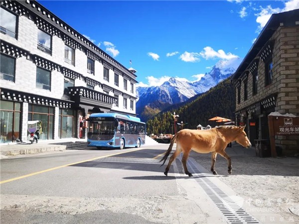 智能科技守护梵天净土 金龙纯电动地铁巴士邂逅稻城亚丁