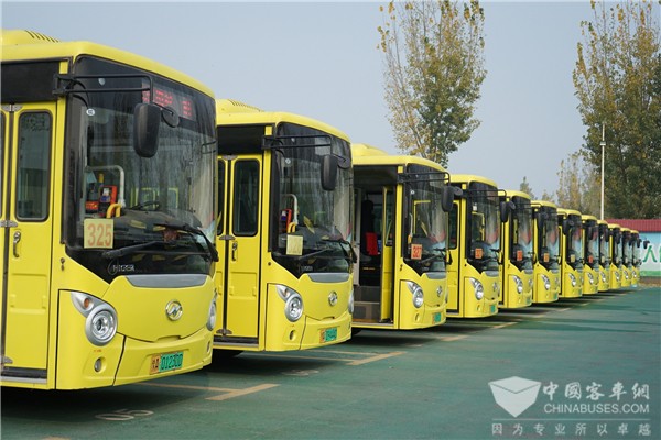 影响中国客车业|海格纯电公交畅行河南新郑  绿色公交文化深入民心