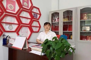 全国人大代表刘丽岩：加大政府投入，解决公交补贴不到位等问题