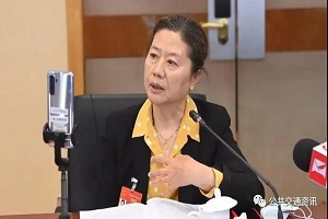 全国人大代表王安忆：公交司机猝发急病甚至猝死 建议增设司乘人员
