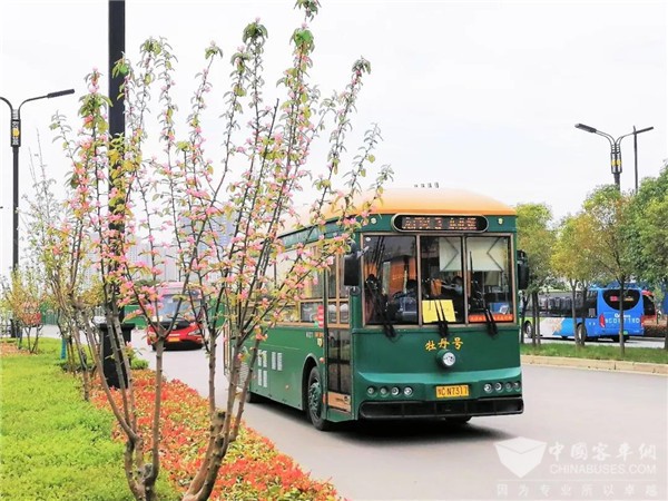 牡丹花开何处寻？银隆带您洛阳寻