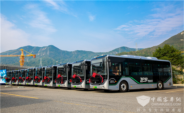 舟山首批! 20辆宇通轮边驱动纯电动公交车正式投运