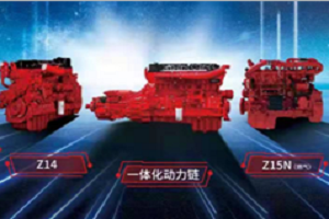 国五VS国六，东康完胜!