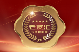 始终携手用户共同前行 东风康明斯老友汇三周年启航