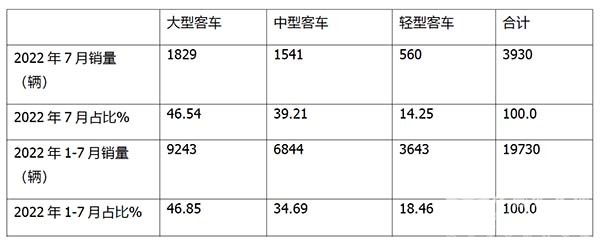 新能源客车 终端市场 特点简析