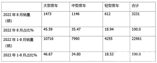新能源客车 终端销售 终端市场特征