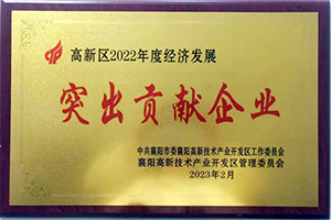 践行“品牌向上”  东风德纳荣获襄阳高新区年度经济发展突出贡献企业