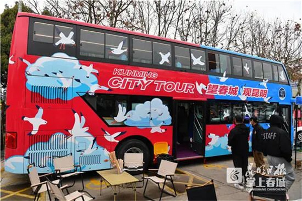 定制环滇公交、喝着咖啡看海鸥！昆明滇池解锁新玩法