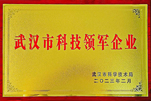 氢能领域唯一企业 众宇动力荣获武汉市科技领军企业称号