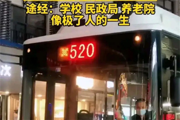 武汉浪漫公交丨途径妇幼、学校、民政局、养老院，像极了人的一生