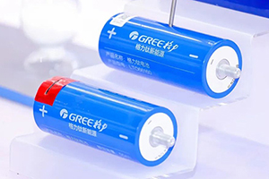 两项产品同时入围 格力钛新能源喜获广东省名优高新技术产品